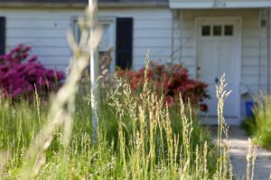 5 easy steps curb appeal selling your home