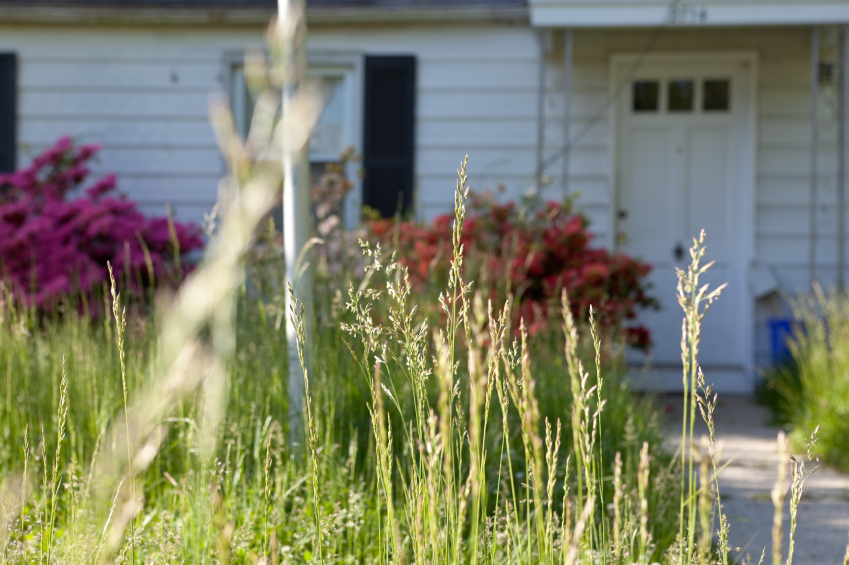 5 easy steps curb appeal selling your home